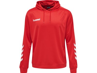 HUMMEL Male hmlPROMO POLY HOODIE Rot