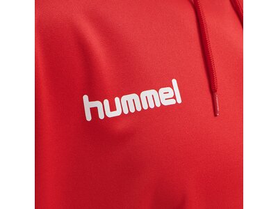 HUMMEL Male hmlPROMO POLY HOODIE Rot