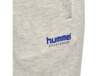 HUMMEL Herren Hose hmlLGC AUSTIN REGULAR PANTS Braun