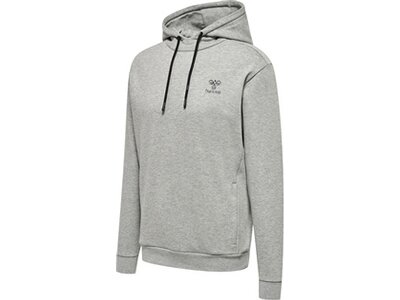 HUMMEL Herren Kapuzensweat hmlOFFGRID HOODIE Grau