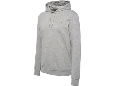 HUMMEL Herren Kapuzensweat hmlIC FRED HOODIE Grau