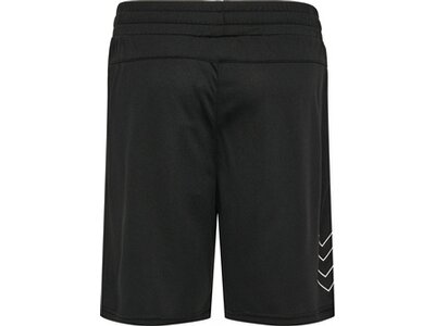 HUMMEL Herren Shorts hmlTE FLEX MESH SHORTS Schwarz