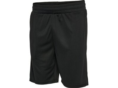 HUMMEL Herren Shorts hmlTE FLEX MESH SHORTS Schwarz