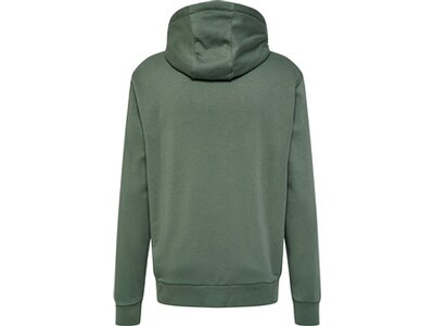 HUMMEL Herren Kapuzensweat hmlSTALTIC COTTON HOODIE Grün