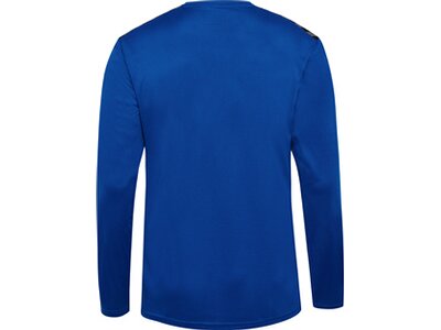 HUMMEL Herren Shirt hmlAUTHENTIC PL JERSEY L/S Blau