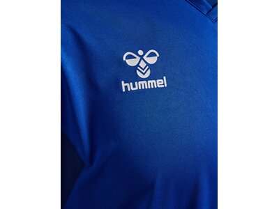 HUMMEL Herren Shirt hmlAUTHENTIC PL JERSEY L/S Blau