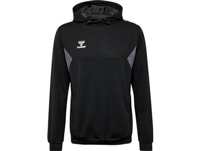 HUMMEL Herren Kapuzensweat hmlAUTHENTIC PL HOODIE Schwarz