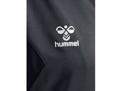 HUMMEL Damen Kapuzensweat hmlAUTHENTIC PL ZIP HOODIE WOMAN Grau