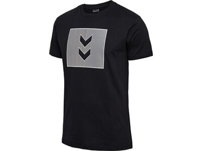 HUMMEL Herren Shirt hmlACTIVE STRIPE CO TEE S/S Schwarz
