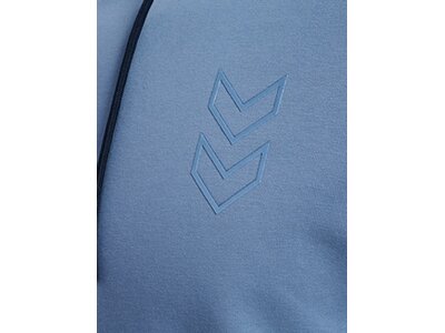 HUMMEL Herren Kapuzensweat hmlACTIVE CO HOODIE Blau