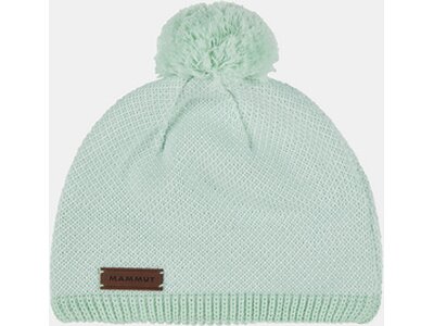 MAMMUT Herren Snow Beanie Grün