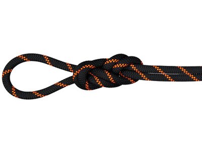 MAMMUT 8.7 Alpine Sender Dry Rope Schwarz