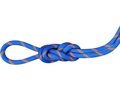MAMMUT 9.0 Alpine Sender Dry Rope Blau