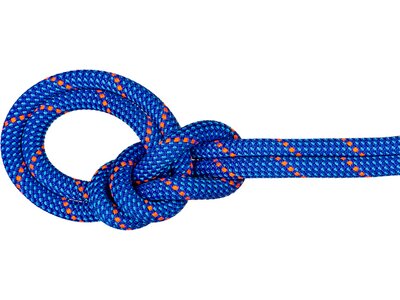 MAMMUT 9.5 Crag Dry Rope Blau
