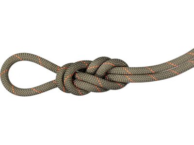 MAMMUT 9.9 Gym Workhorse Classic Rope Grün