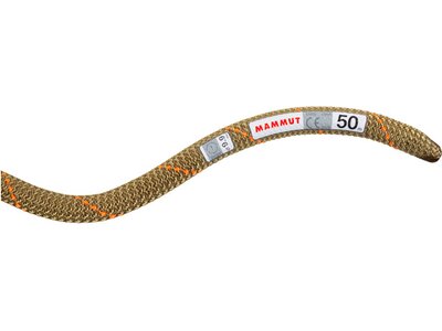 MAMMUT 9.9 Gym Workhorse Classic Rope Grün