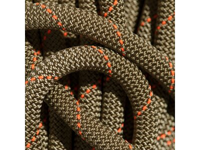 MAMMUT 9.9 Gym Workhorse Classic Rope Grün
