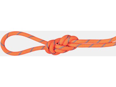 MAMMUT 7.5 Alpine Sender Dry Rope Rot