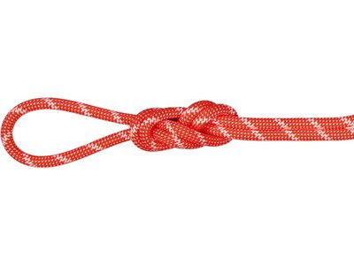MAMMUT 8.0 Alpine Classic Rope Orange 