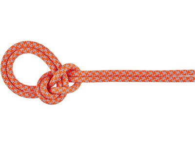 MAMMUT Bergseil 8.7 Crag Sender Dry Rope Orange