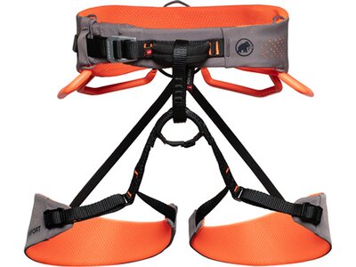 MAMMUT Damen Comfort Fast Adjust Harness Women Grau