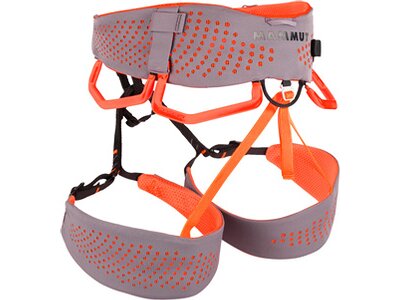 MAMMUT Damen Comfort Fast Adjust Harness Women Grau