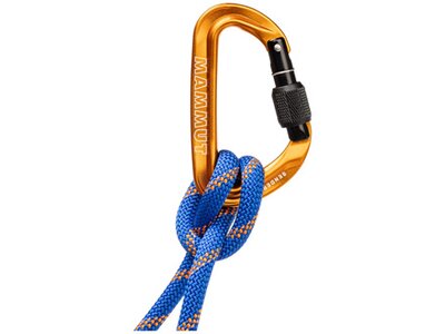 MAMMUT Sender Screwgate Carabiner gelb