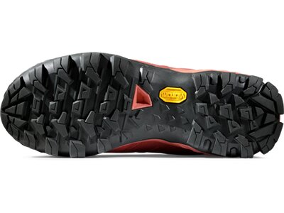 MAMMUT Damen Multifunktionsschuhe Ducan Low GTX® Braun