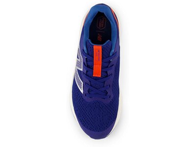 NEW BALANCE Kinder Laufschuhe Fresh Foam Arishi v4 Braun