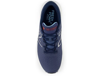 NEW BALANCE Herren Laufschuhe Fresh Foam X Evoz ST Grau