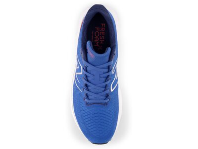 NEW BALANCE Herren Laufschuhe Fresh Foam X EVOZ v3 Blau