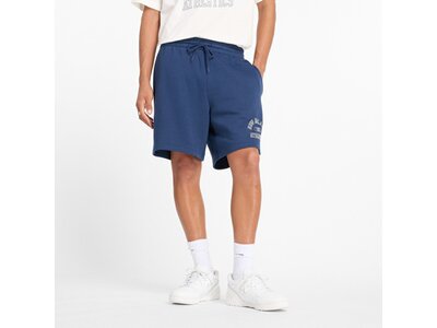 NEW BALANCE Herren Shorts Sport Essentials Fleece Graphic Short 7" Blau