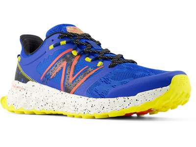 NEW BALANCE Herren Laufschuhe Fresh Foam Garoé Blau