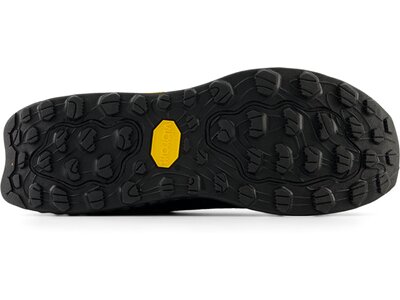 NEW BALANCE Herren Laufschuhe Fresh Foam X Hierro v7 GORE-TEX® Braun