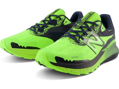 NEW BALANCE Herren Laufschuhe DynaSoft Nitrel v5 GTX Grau