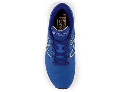 NEW BALANCE Damen Laufschuhe Fresh Foam X Evoz ST Grau