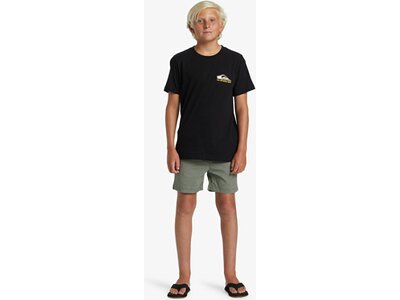 QUIKSILVER Kinder Bermuda TAXER YOUTH WKST Grün