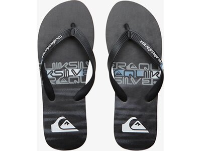 QUIKSILVER Herren Badesandalen MOLOKAI STRIPE SNDL Pink