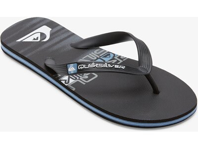 QUIKSILVER Herren Badesandalen MOLOKAI STRIPE SNDL Pink