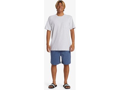 QUIKSILVER Herren Bermuda TAXER WKST Blau