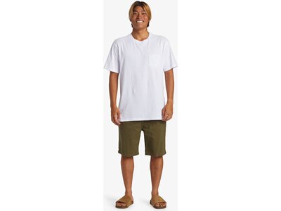 QUIKSILVER Herren Bermuda EVERYDAY UNION WKST Grün