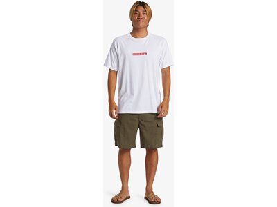 QUIKSILVER Herren Bermuda TAXER CARGO WKST Braun