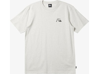 QUIKSILVER Herren Shirt QS DNA BUBBLE L TEES Grau