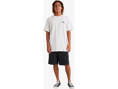 QUIKSILVER Herren Shirt QS DNA BUBBLE L TEES Grau