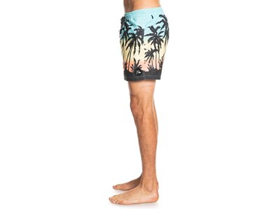 QUIKSILVER Herren Badeshorts PARADISE 15 M JAMV Grau