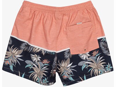 QUIKSILVER Herren Bermuda LIFEONREEF JAMV Pink