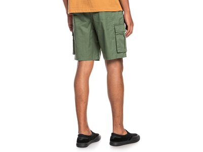 QUIKSILVER Herren Shorts RELAXCARGO M WKST Grün