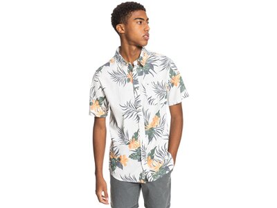QUIKSILVER Herren Hemd PARADISE EXPRES Grau