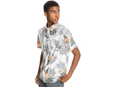 QUIKSILVER Herren Hemd PARADISE EXPRES Grau
