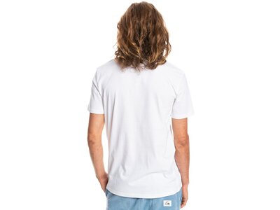 QUIKSILVER Herren Shirt LINEDUP M TEES Weiß